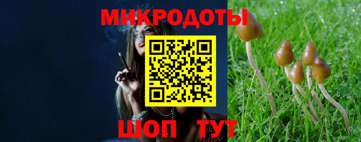 Галлюциногенные грибы GOLDEN TEACHER  Псилоцибиновые грибы GOLDEN TEACHER  Мурино  Вход с VPN 