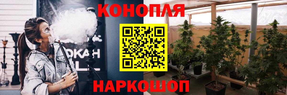 Конопля SATIVA & INDICA Мурино