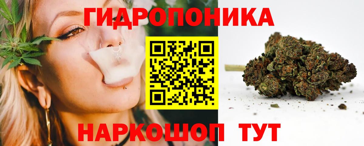 Бошки марихуана конопля  Каннабис Amnesia  Мурино  Вход с VPN 